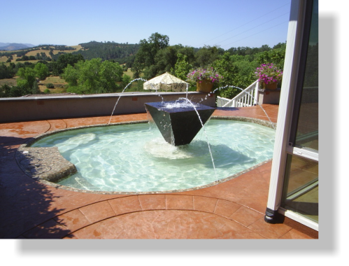 Pool Frog